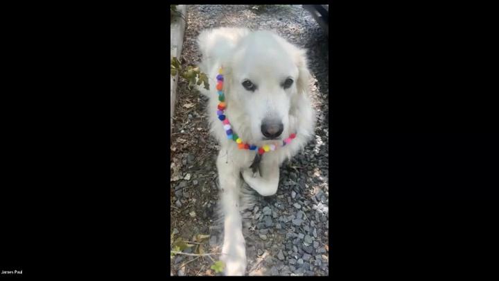 Thumbnail image for Wellfleet Select Board 4-13-2026